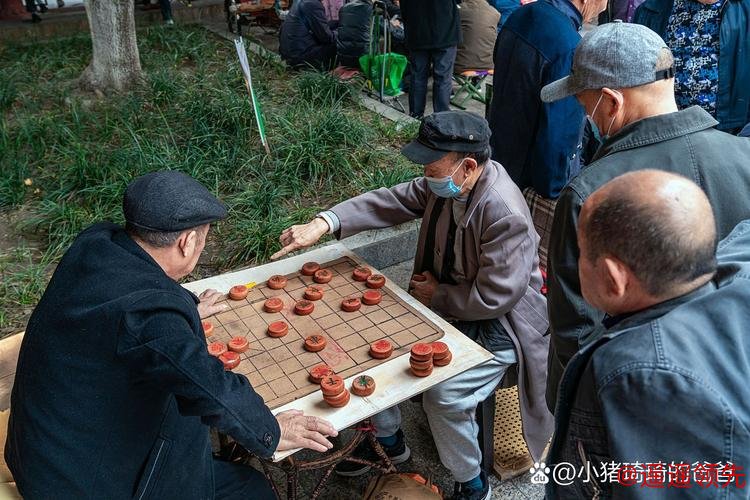 那些棋坛“80后”们 知不知道自己有多“老”？