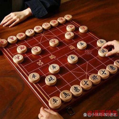 那些棋坛“80后”们 知不知道自己有多“老”？